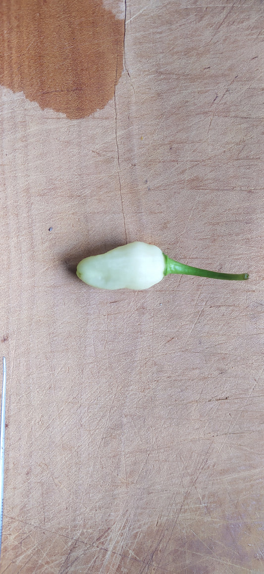 White Bhut Jolokia Seeds