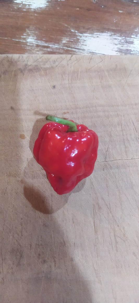 Red Habanero Seeds