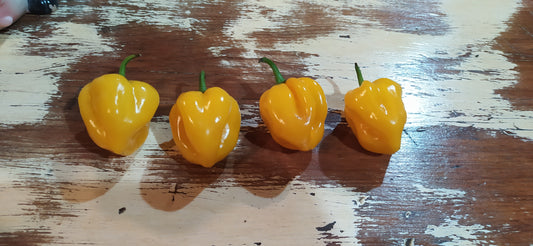 Yellow Habanero Seeds
